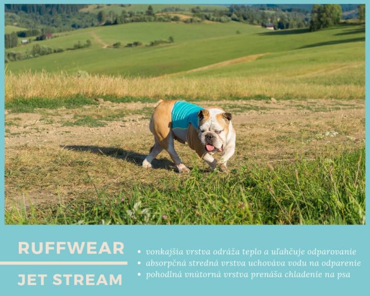 chladiaca vesta pre psa Ruffwear, leto so psom, Pes bruno, brunov obchodík, anglický buldog, úpal u psa, prehriatie u psa, turistika so psom