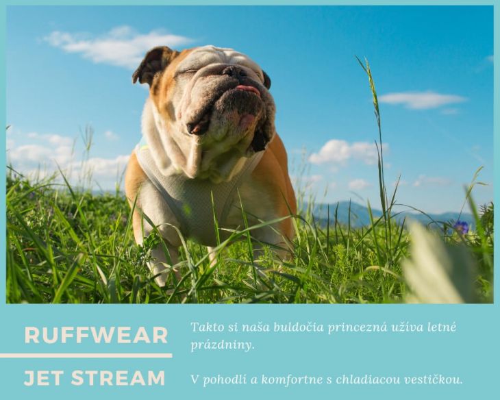 chladiaca vesta pre psa Ruffwear, leto so psom, Pes bruno, brunov obchodík, anglický buldog, úpal u psa, prehriatie u psa, turistika so psom