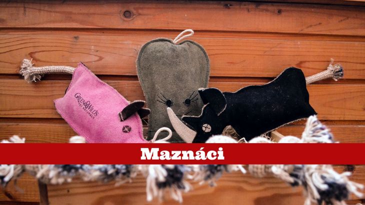 pes, eko hračky pre psov, pes bruno