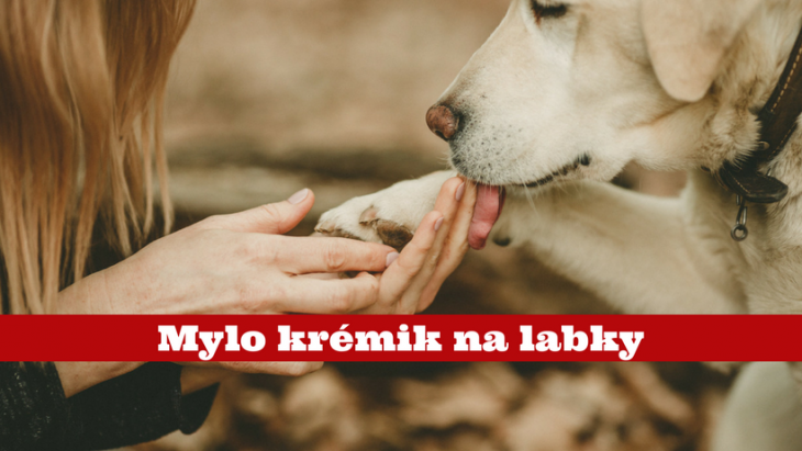 mylo, kréma na psie labky, bambucké maslo