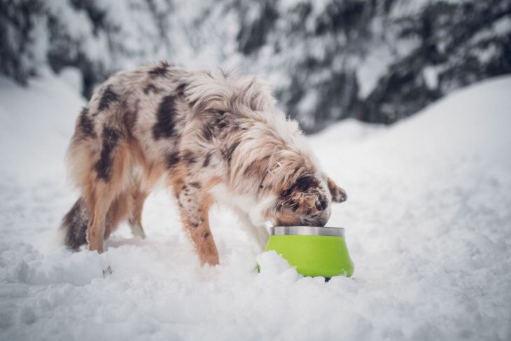 miska pre psa, odolná miska pre psa, Miska pre psa Ruffwear Basecamp™ , jedlo pre psa, výlet so psom