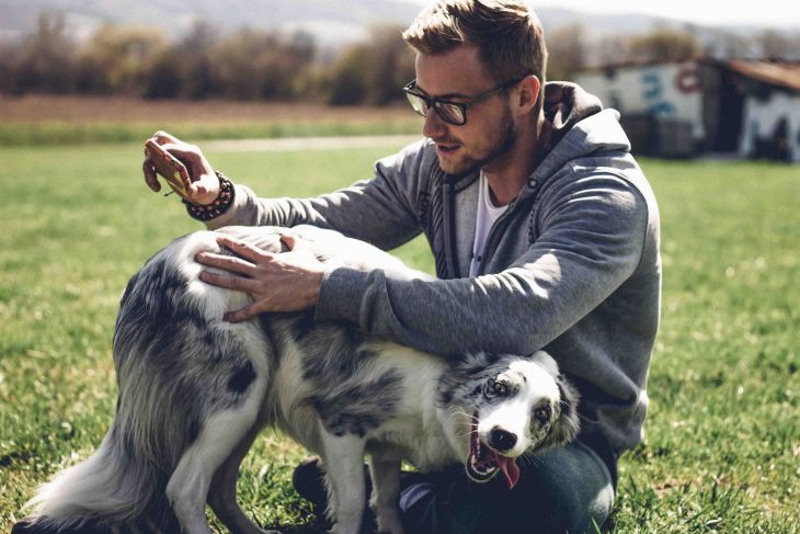 život s borderkou, Nabu a Jada, ve shandor photography, border kólia, pes bruno