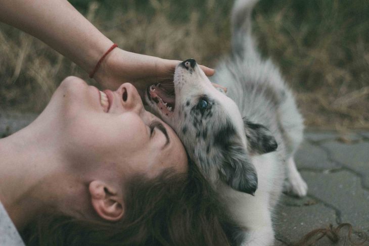 život s borderkou, Nabu a Jada, ve shandor photography, border kólia, pes bruno